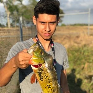 Meet your Posher, Marcos